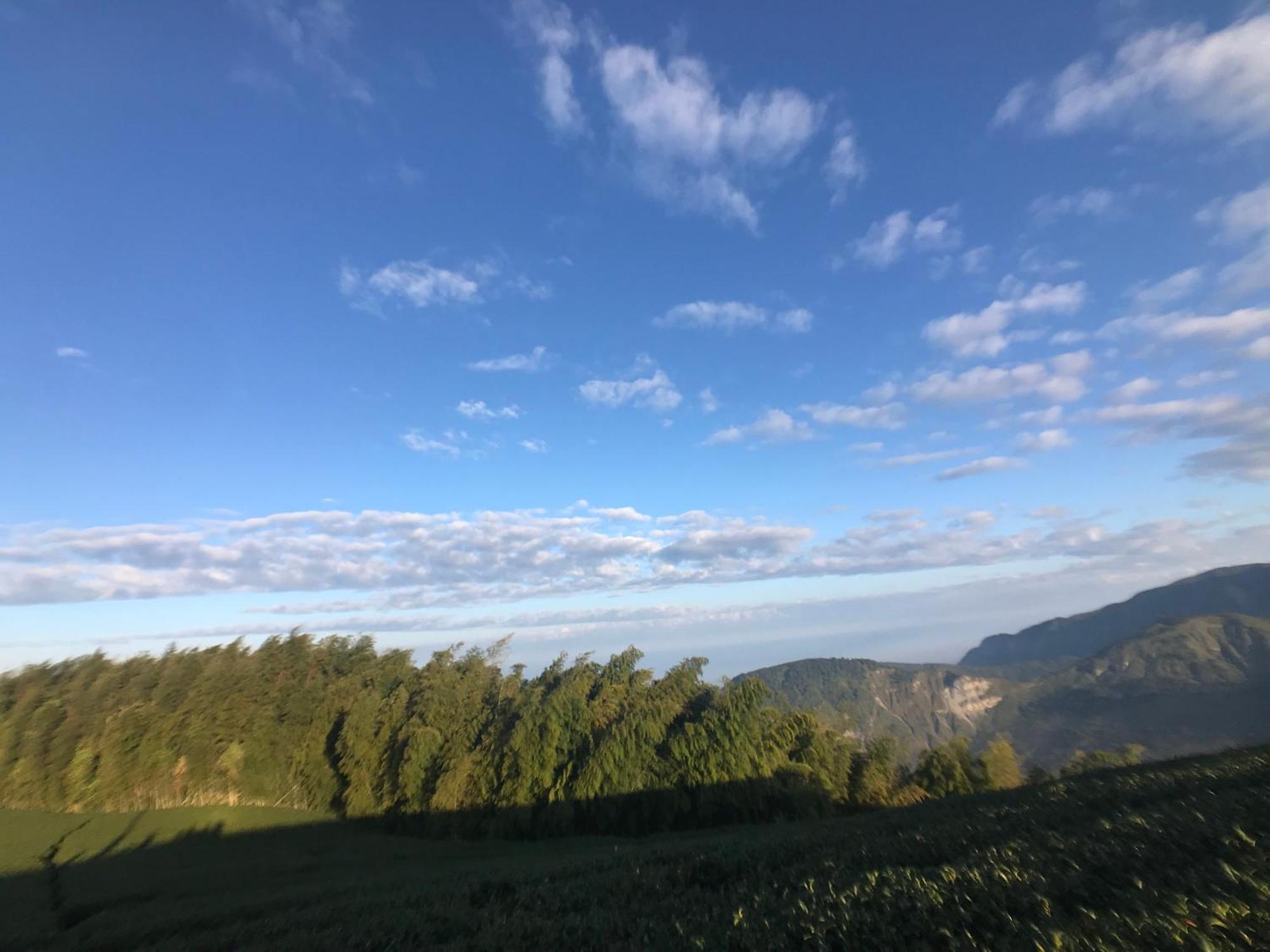 Meishan De Ren Tea Gardens 아파트 외부 사진