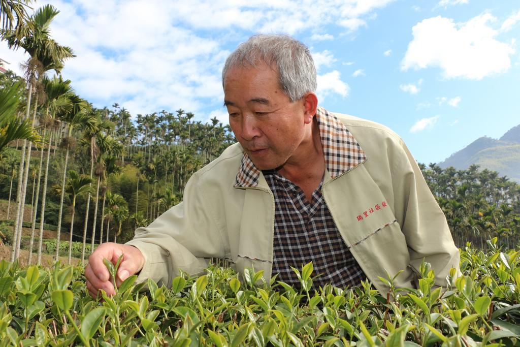 Meishan De Ren Tea Gardens 아파트 외부 사진