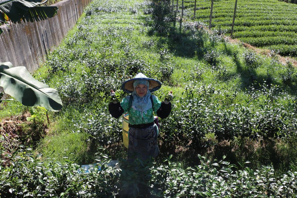 Meishan De Ren Tea Gardens 아파트 외부 사진